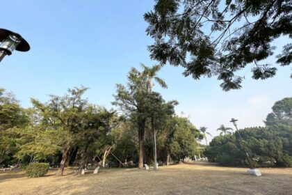お休みの日、台南公園でピクニックをしたときの風景