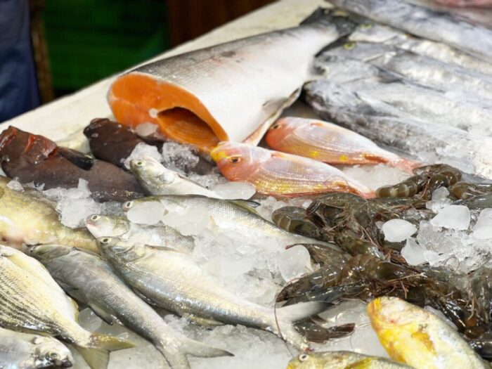 高雄の観光魚市場、興達漁港の鮮魚店に並ぶ新鮮な魚介類
