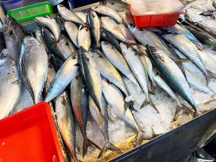 高雄にある観光魚市場、興達漁港で見かけた季節の魚